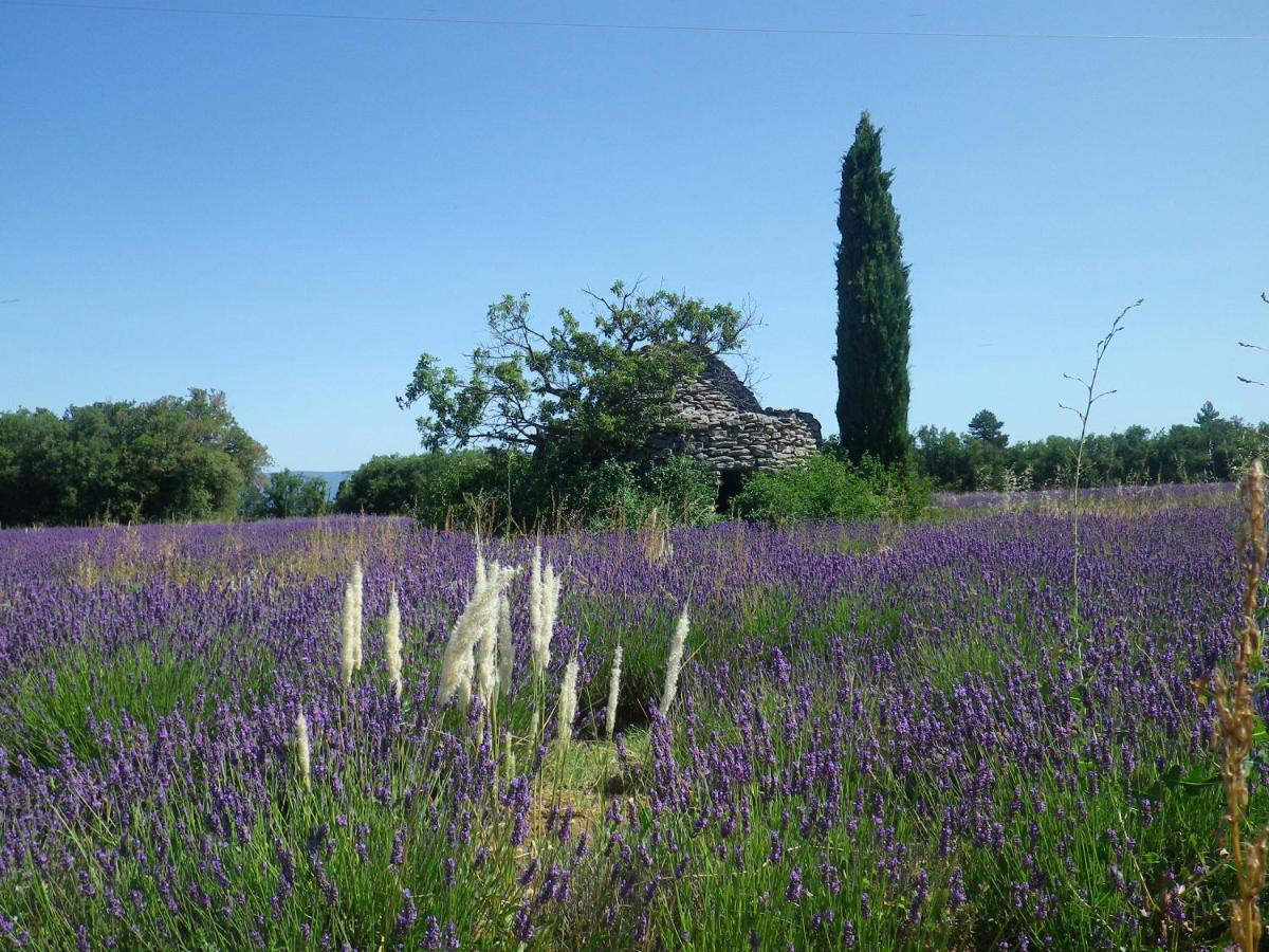 La mordorée La Motte-d'Aigues Esterno foto