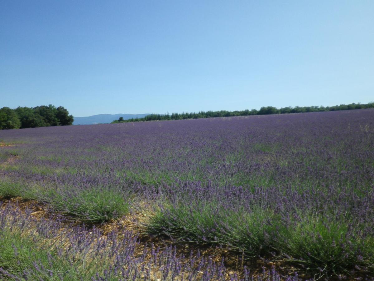 La mordorée La Motte-d'Aigues Esterno foto