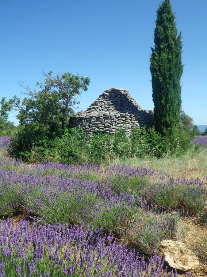 La mordorée La Motte-d'Aigues Esterno foto