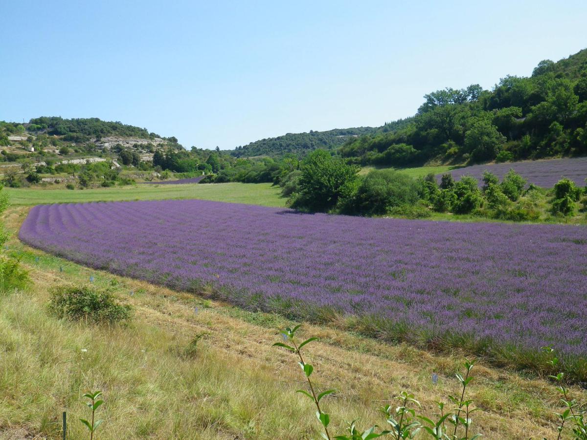 La mordorée La Motte-d'Aigues Esterno foto